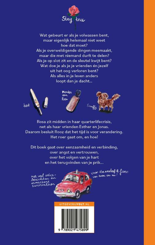 Achterkant van Hoe overleef ik alles wat ik niemand vertel?