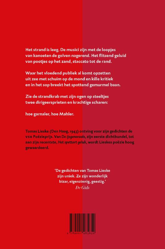 Achterkant van Brandende kevers