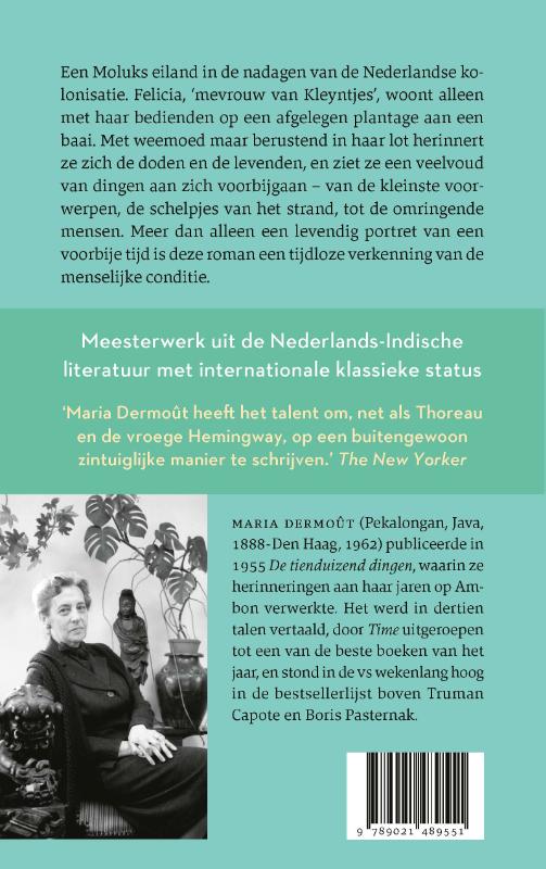 Achterkant van De tienduizend dingen