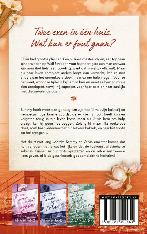Achterkant van If we were perfect