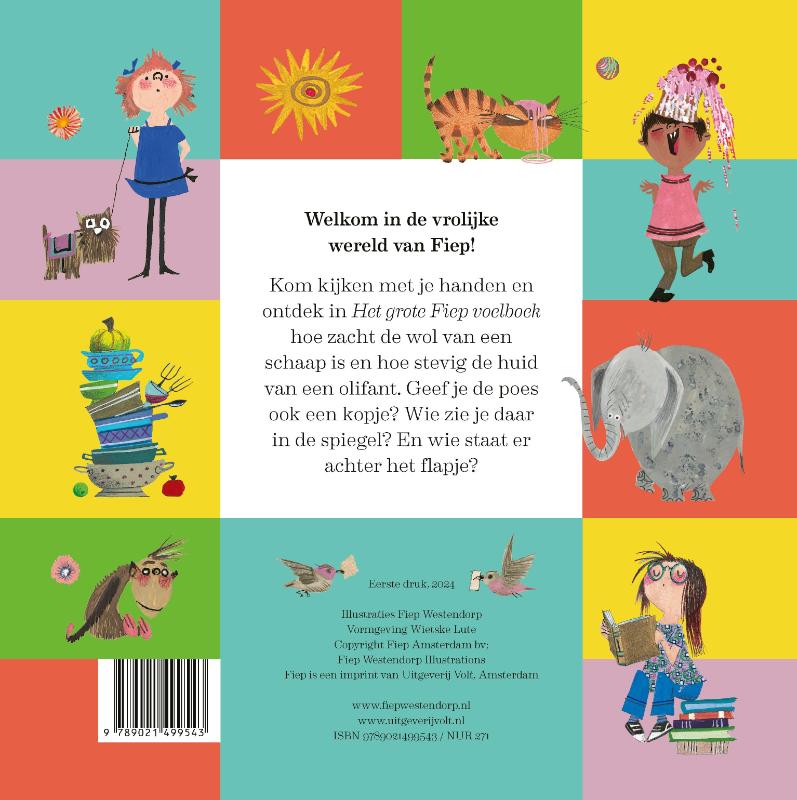 Achterkant van Het grote Fiep voelboek