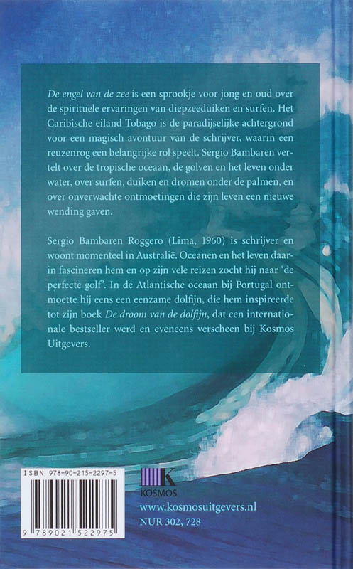 Achterkant van De engel van de zee