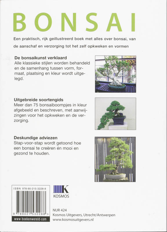 Achterkant van Bonsai