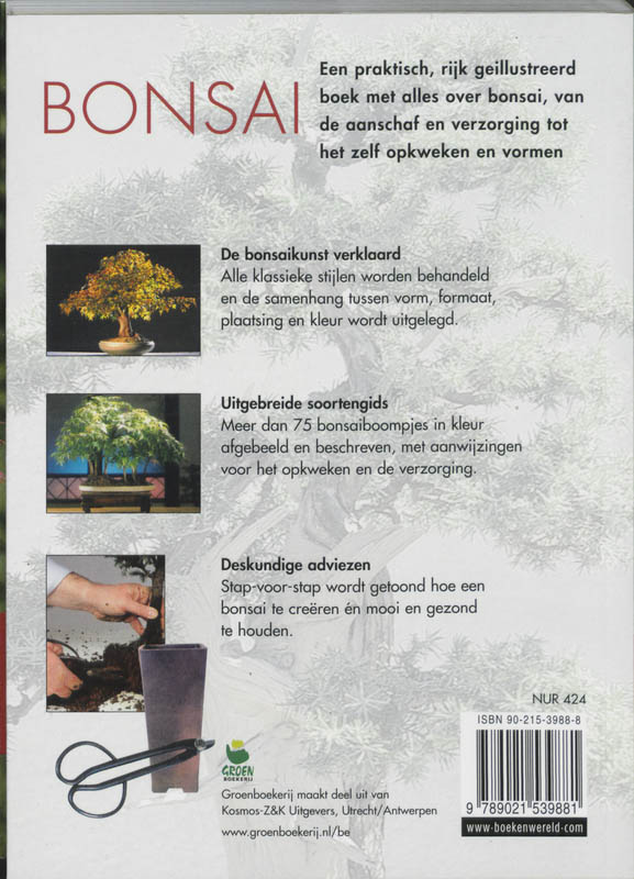 Achterkant van Bonsai