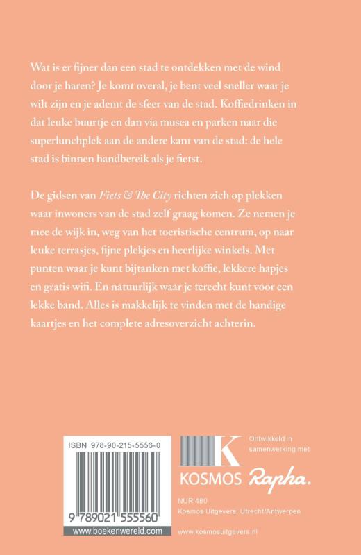 Achterkant van Fiets + The City: Parijs