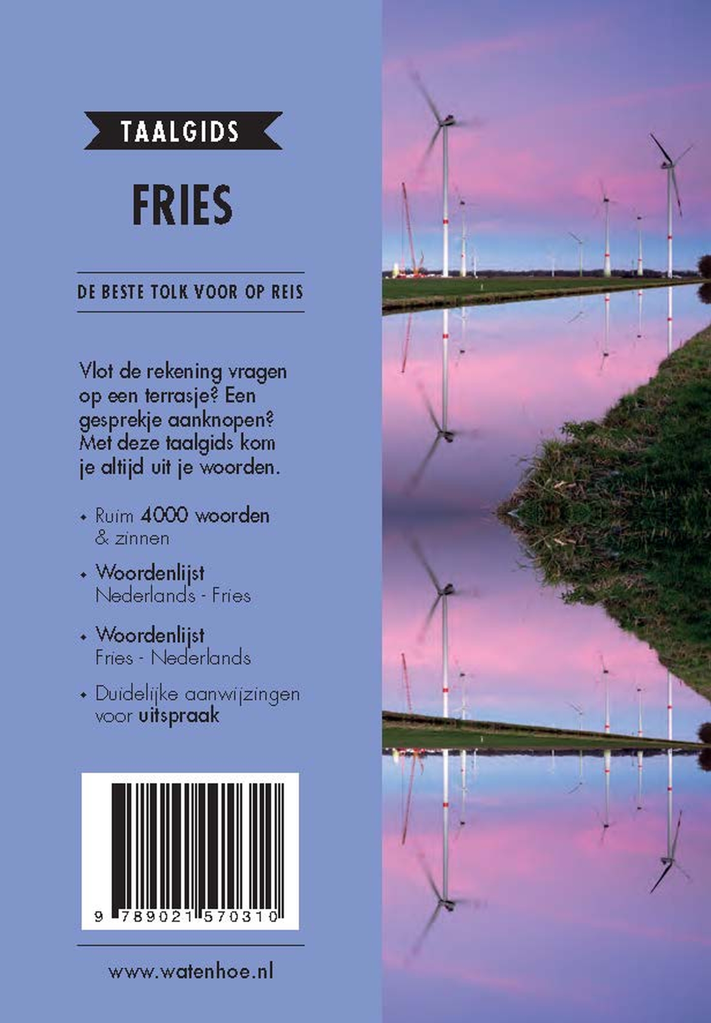 Achterkant van Fries