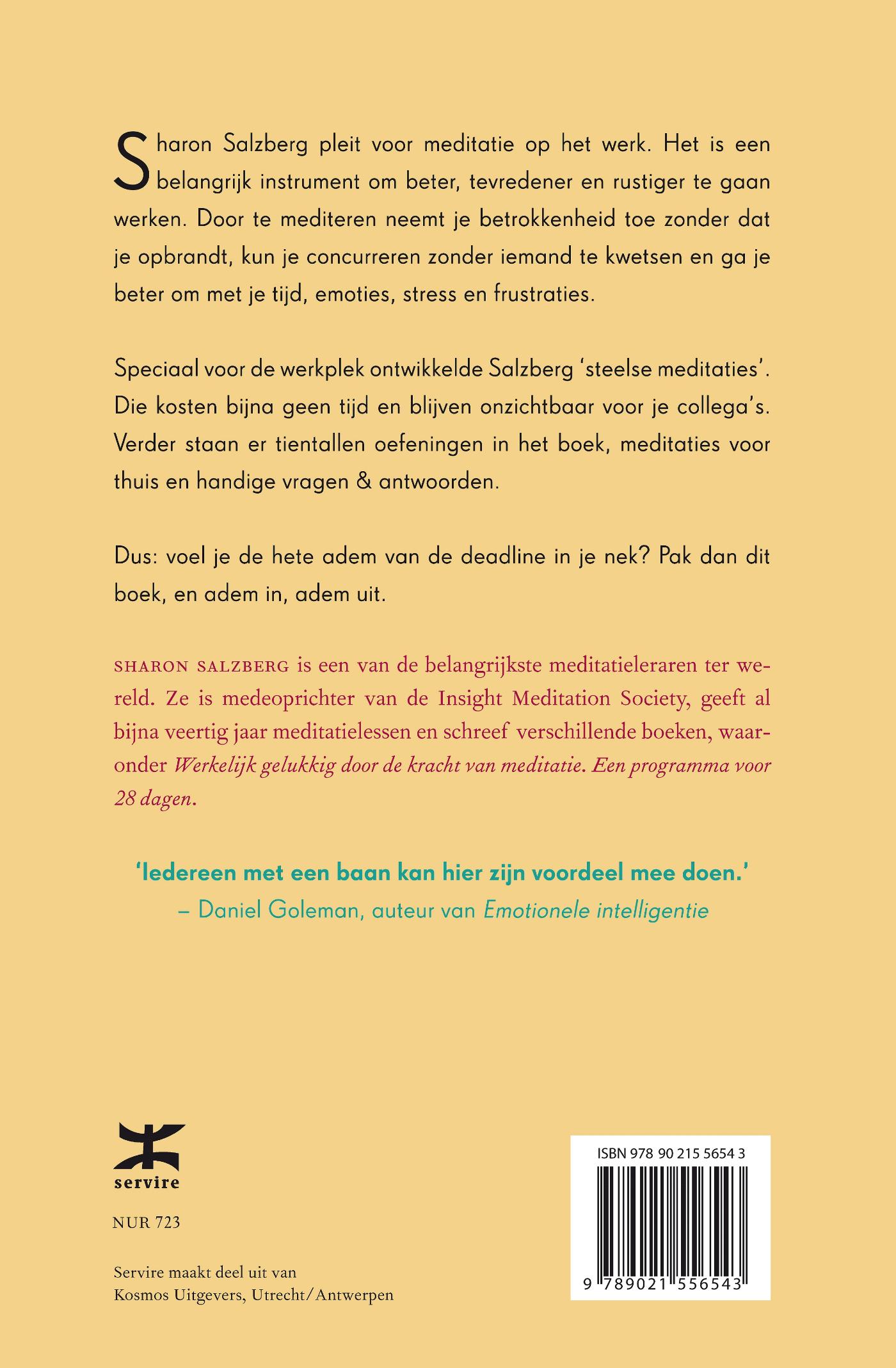 Achterkant van Meditatie op het werk