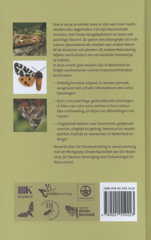 Achterkant van Nachtvlinders