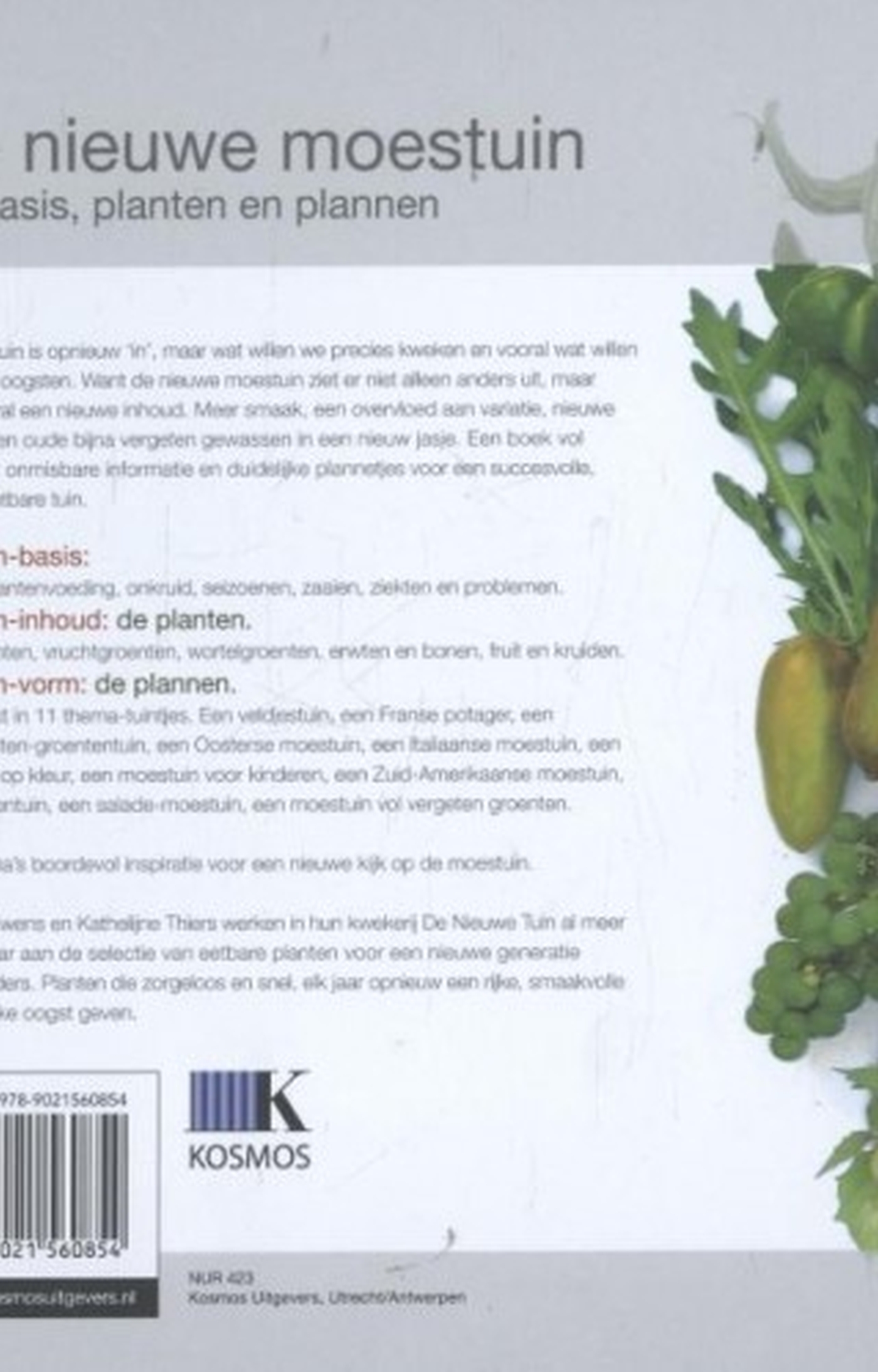 Achterkant van De nieuwe moestuin