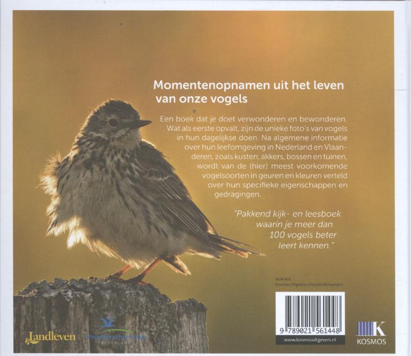 Achterkant van De wereld van onze vogels