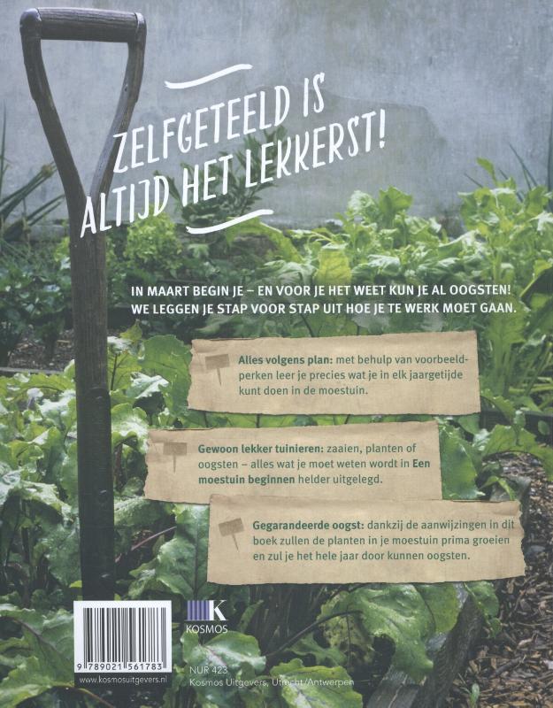 Achterkant van Een moestuin beginnen