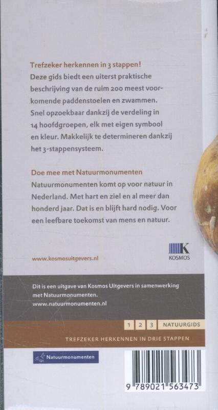 Achterkant van Paddenstoelen