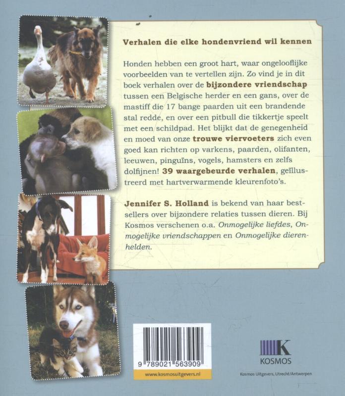 Achterkant van Honden