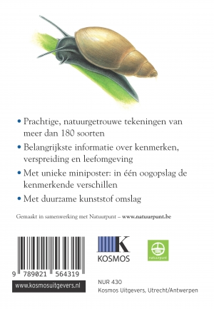 Achterkant van Dieren en planten in en rond vijver en plas