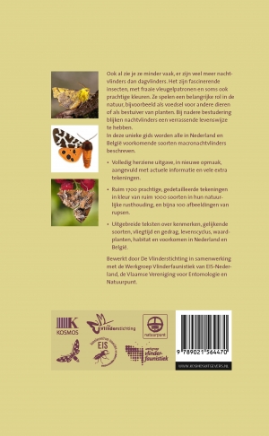 Achterkant van Nachtvlinders