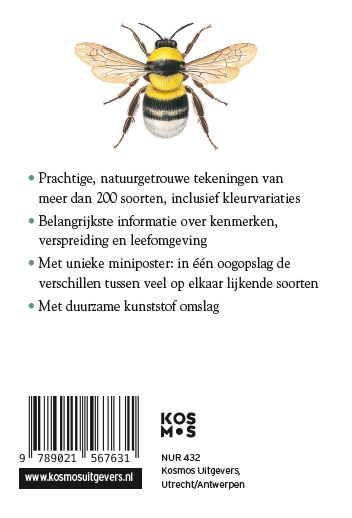 Achterkant van Insecten