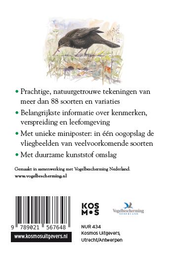Achterkant van Tuinvogels