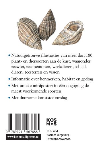 Achterkant van Strand en kust