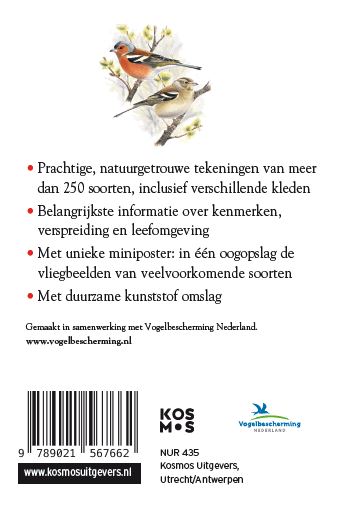 Achterkant van Vogels