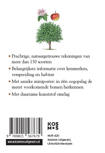 Achterkant van Bomen