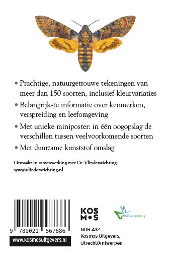Achterkant van Compactgids Vlinders