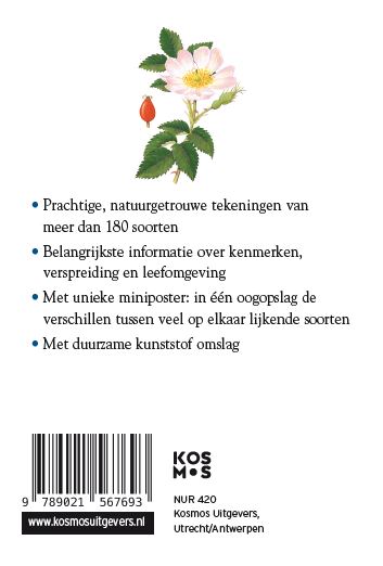 Achterkant van Bloemen