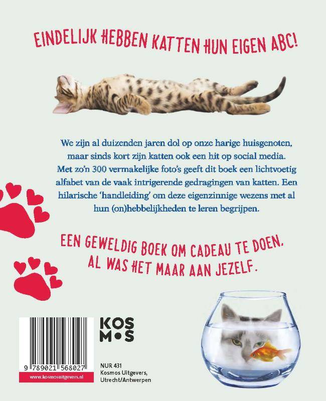 Achterkant van Zijne majesteit de kat