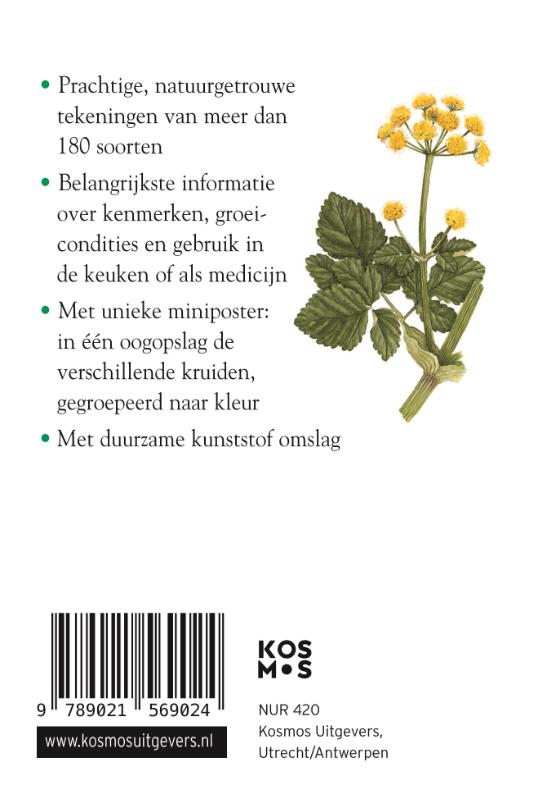Achterkant van Compactgids Kruiden