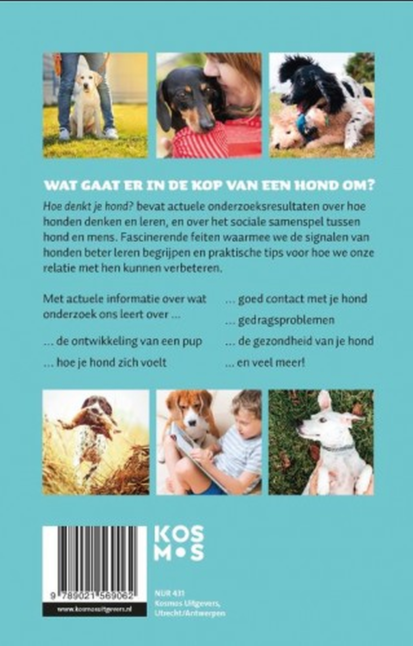 Achterkant van Hoe denkt je hond?