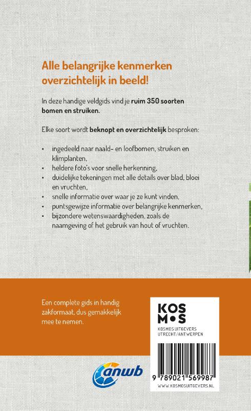Achterkant van Welke boom is dat?