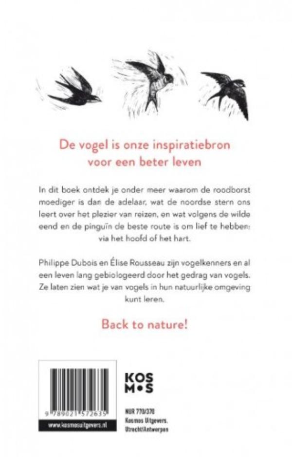 Achterkant van De 22 levenslessen die vogels ons leren