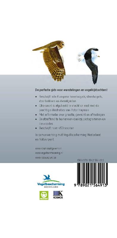 Achterkant van Hayman's Zakgids Vogels
