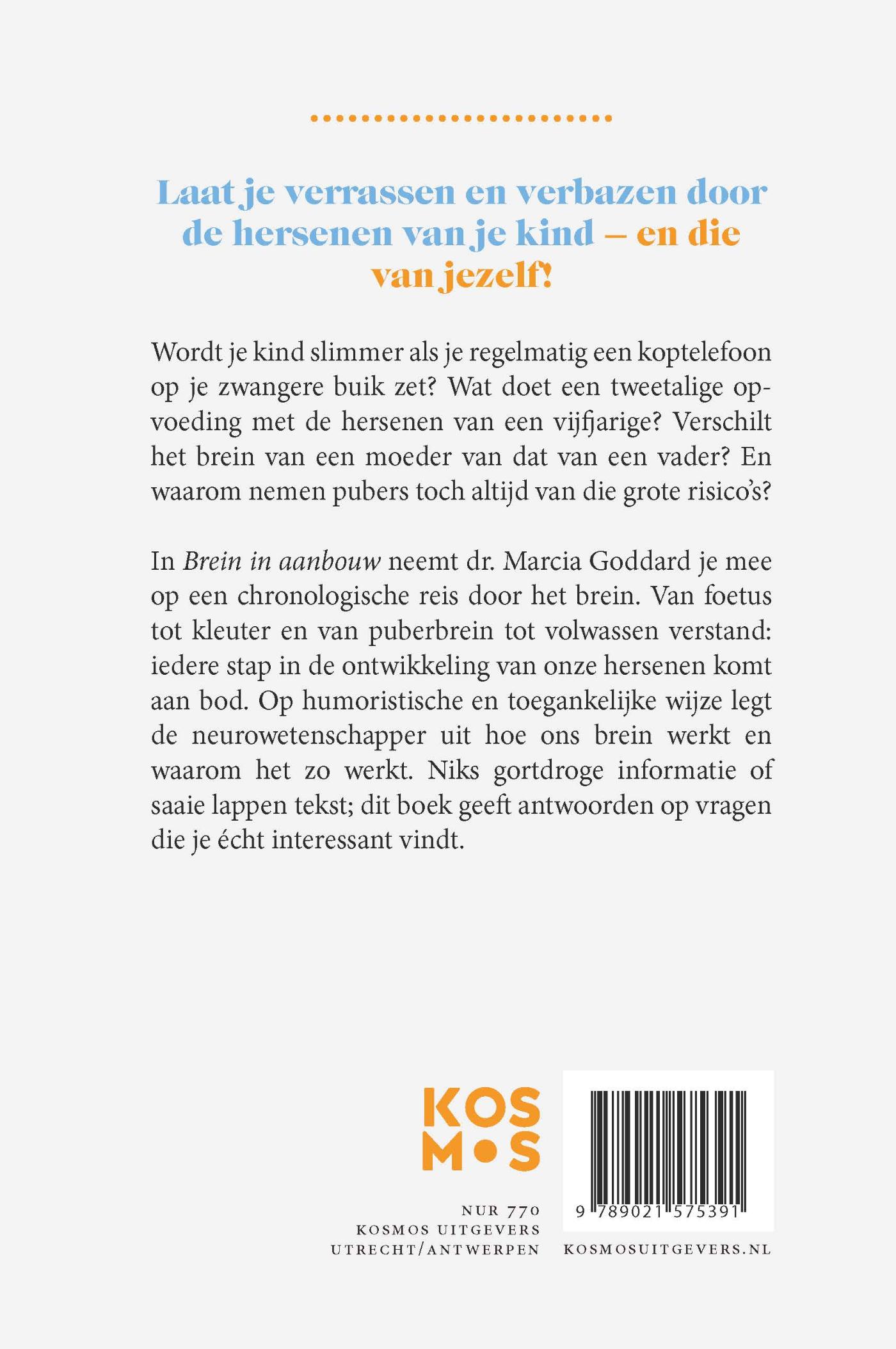 Achterkant van Brein in aanbouw
