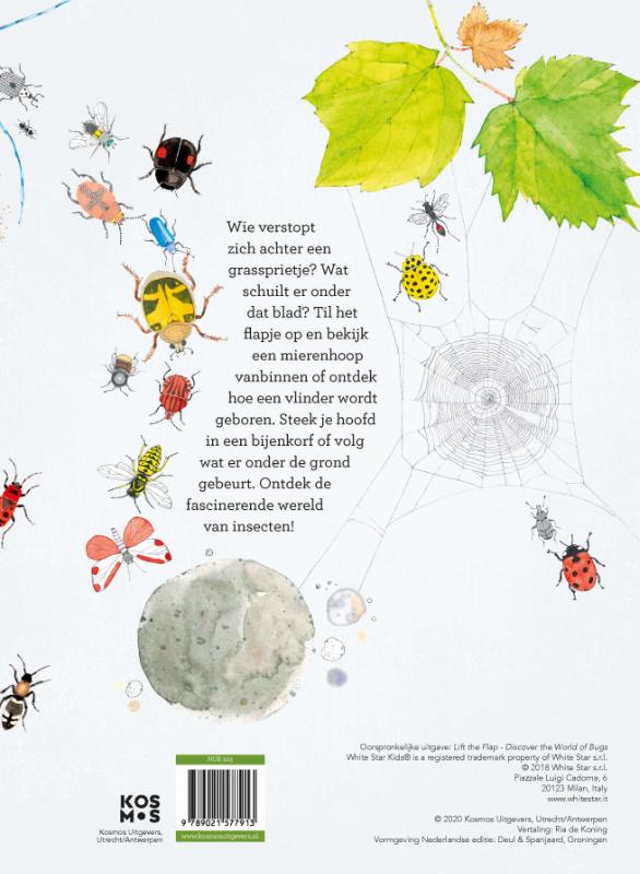 Achterkant van Ontdek de wereld van insecten