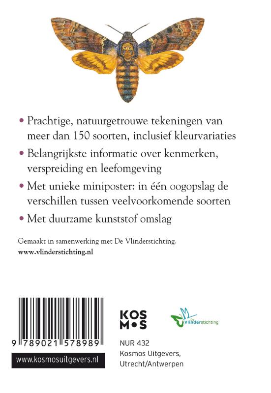 Achterkant van Vlinders
