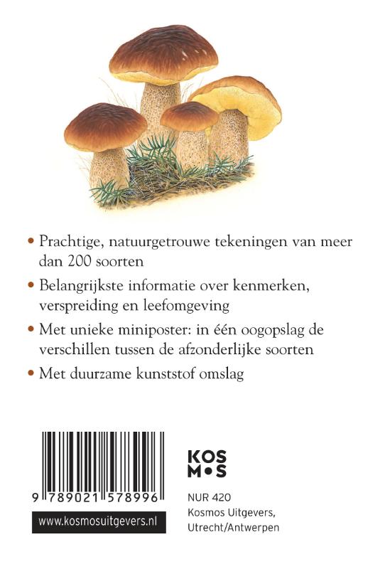 Achterkant van Compactgids Paddenstoelen