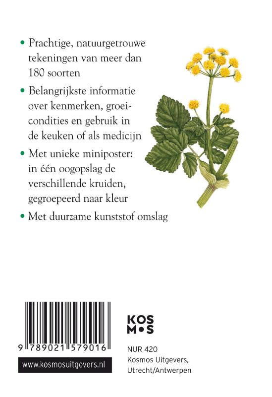 Achterkant van Compactgids Kruiden