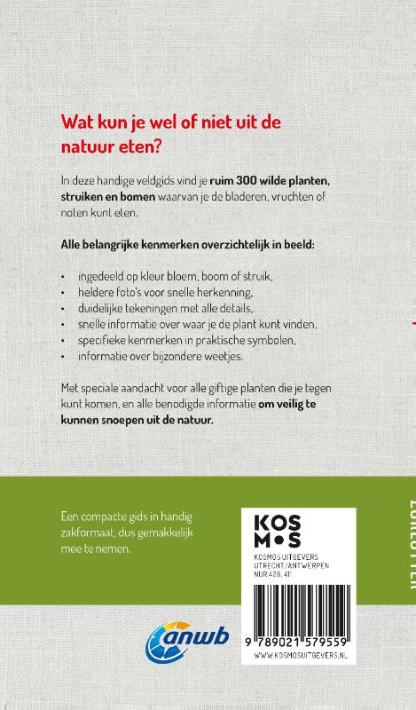 Achterkant van Welke eetbare wilde plant is dat?