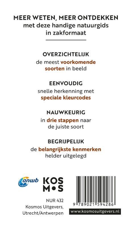 Achterkant van Insecten