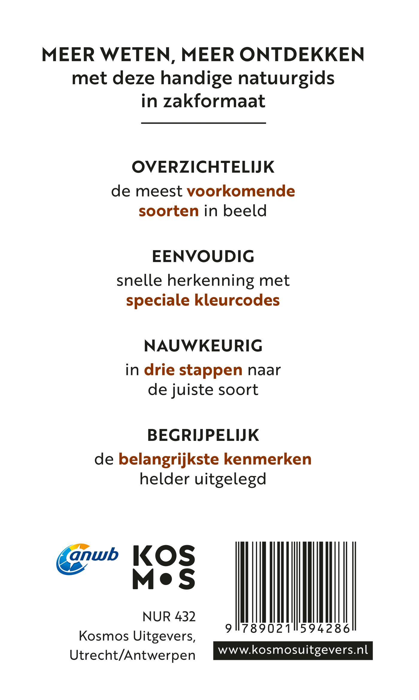 Achterkant van Insecten