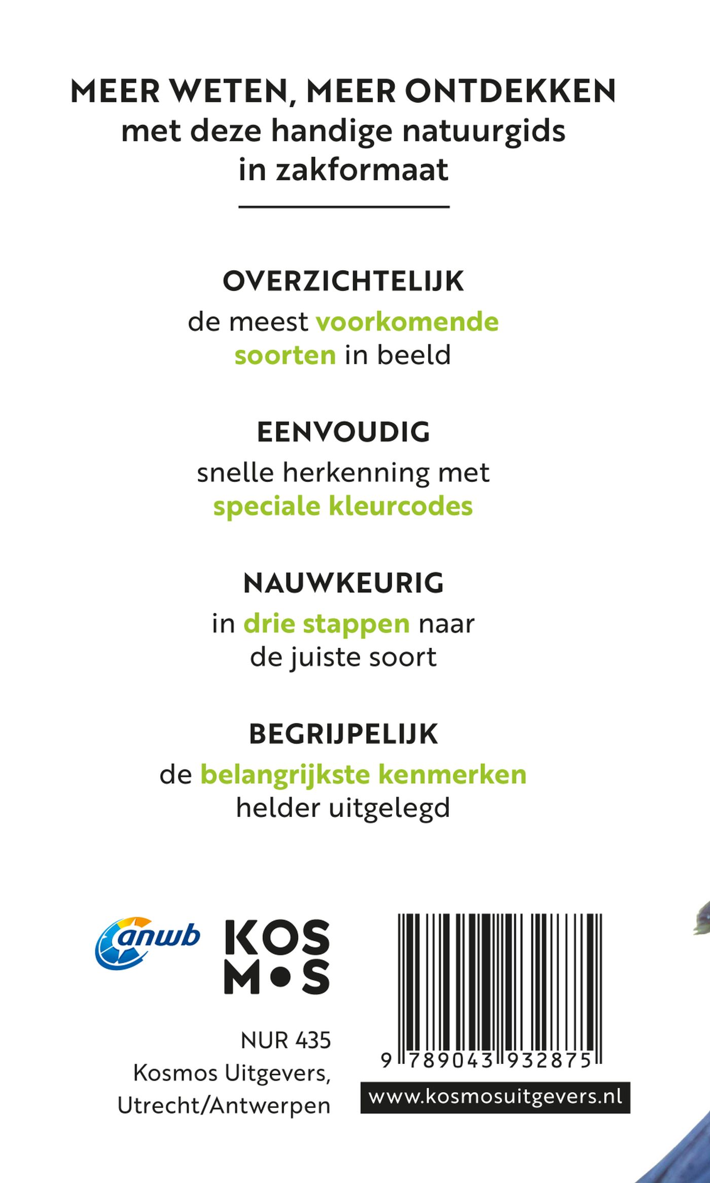 Achterkant van Tuinvogels