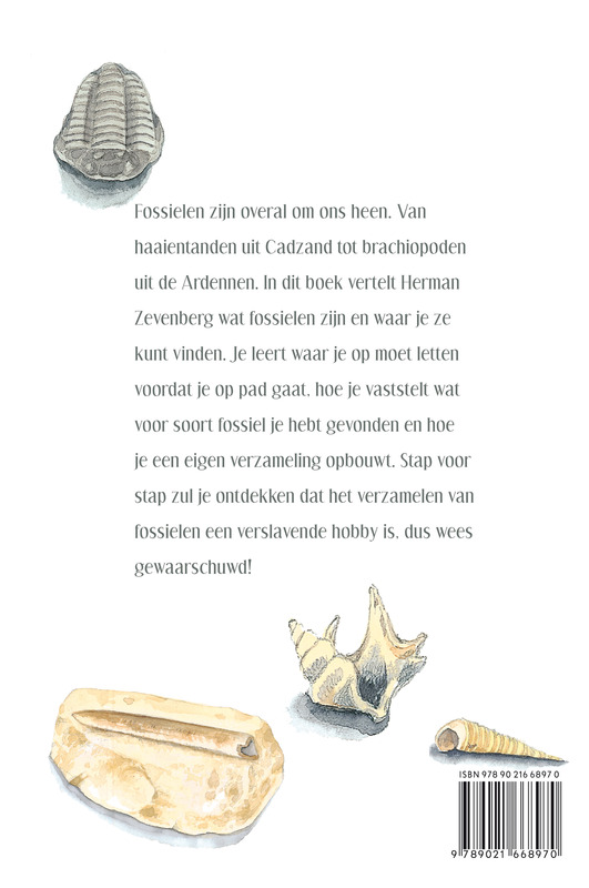 Achterkant van De fossielen ontdekgids