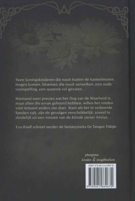 Achterkant van Het oog van de waarheid