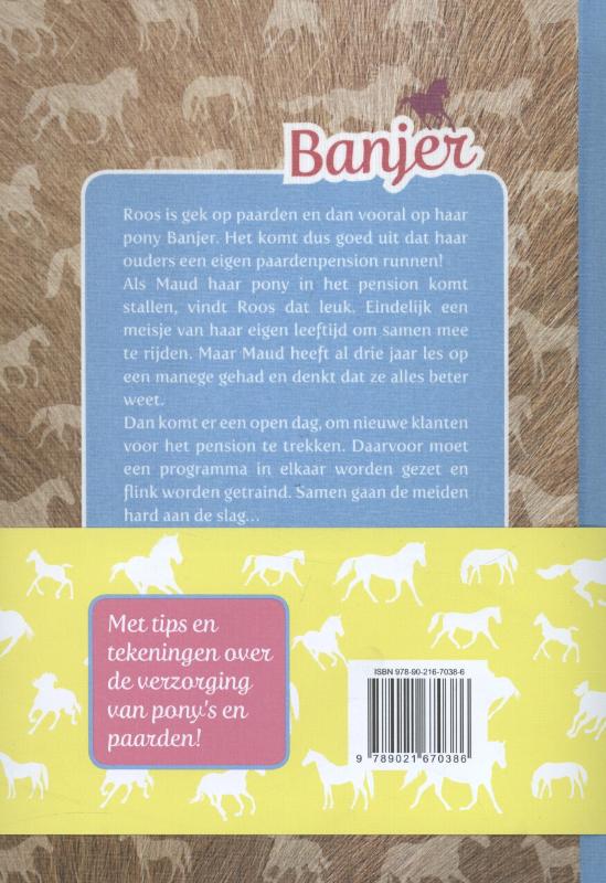 Achterkant van Banjer