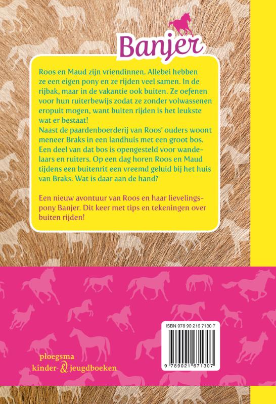 Achterkant van Een pony met kuren