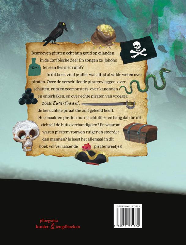 Achterkant van Het grote piratenboek