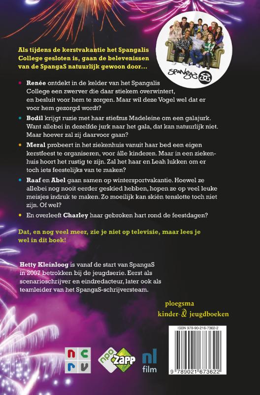 Achterkant van Vuurwerk