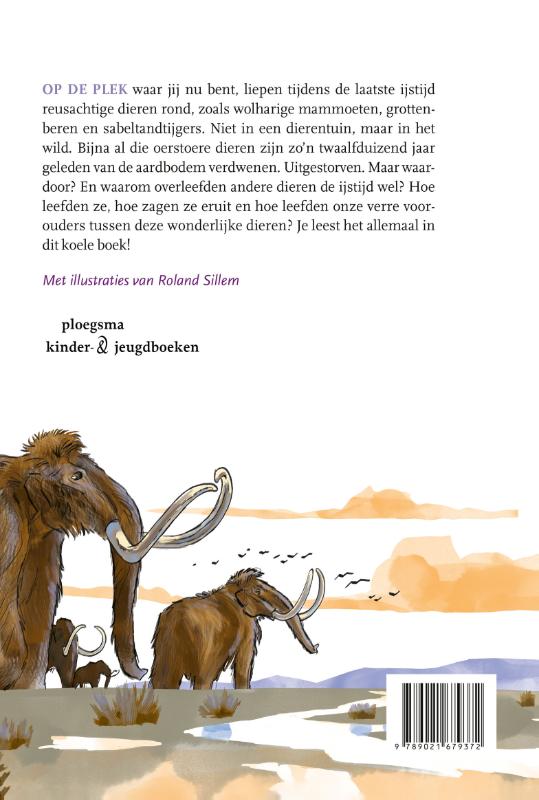 Achterkant van Oerstoer
