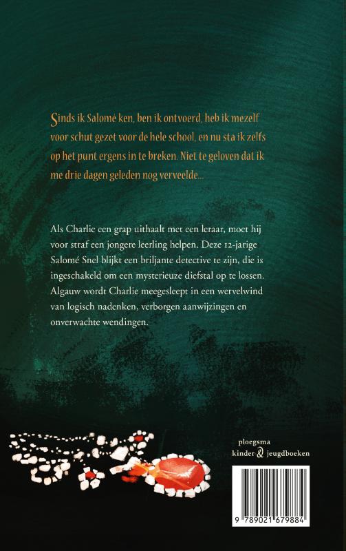 Achterkant van Salomé Snel en de onzichtbare juwelendief