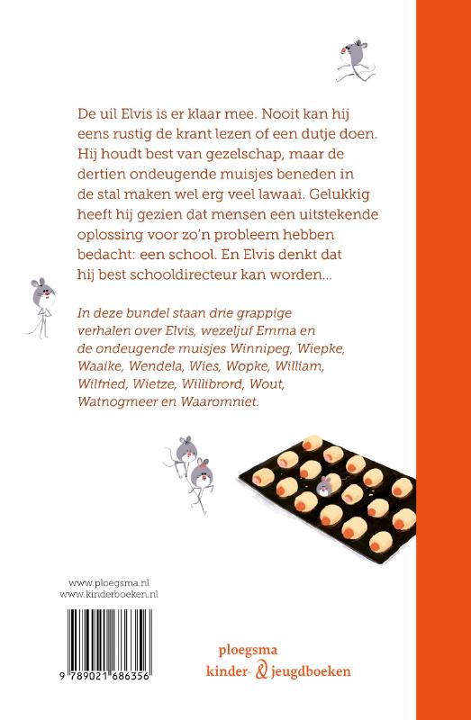Achterkant van De muizenschool